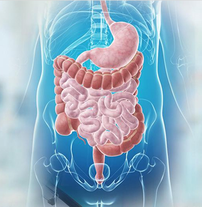 Gastroenterology